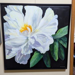 Camellia